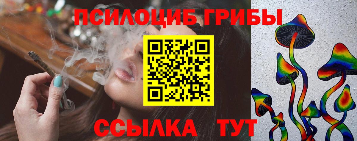 Гусев  купить наркотик  Вход с VPN  Галлюциногенные грибы Magic Shrooms 
